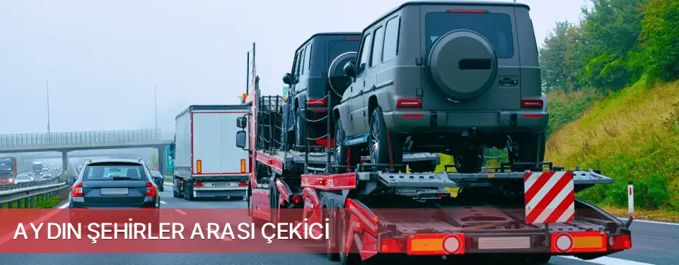 Aydın İli Şehirler Arası Çekici